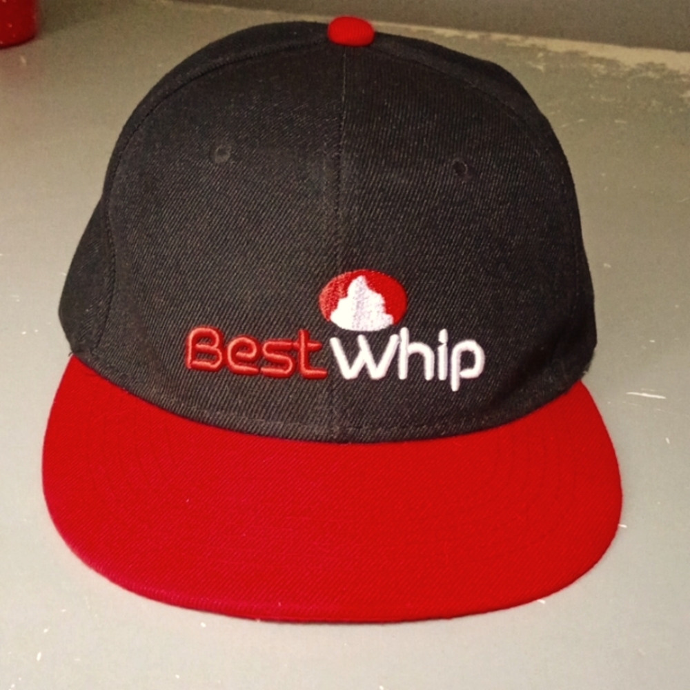 Best whip snap back hat never worn
